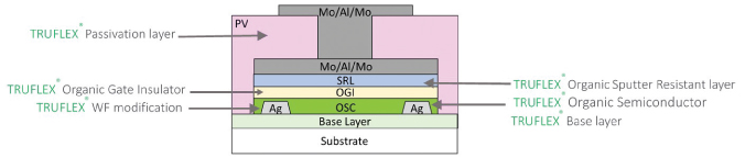 [MISSING IMAGE: tm219093d1-ph_otft4c.jpg]